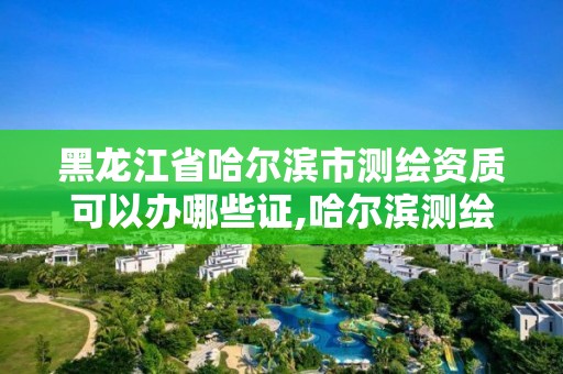 黑龙江省哈尔滨市测绘资质可以办哪些证,哈尔滨测绘局是干什么的。