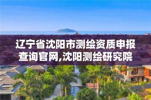 辽宁省沈阳市测绘资质申报查询官网,沈阳测绘研究院有限公司官网