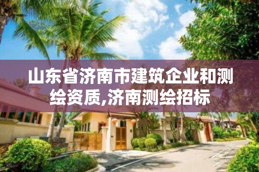 山东省济南市建筑企业和测绘资质,济南测绘招标