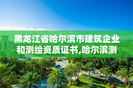 黑龙江省哈尔滨市建筑企业和测绘资质证书,哈尔滨测绘公司排名。