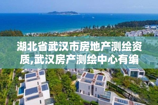 湖北省武汉市房地产测绘资质,武汉房产测绘中心有编制吗