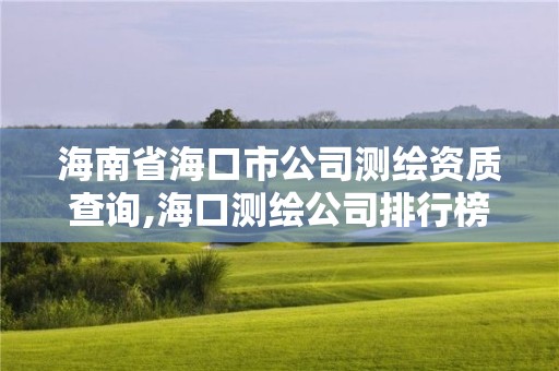 海南省海口市公司测绘资质查询,海口测绘公司排行榜