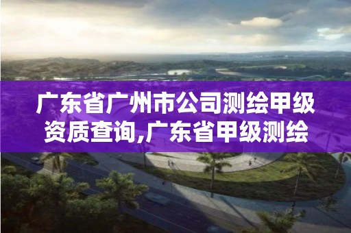 广东省广州市公司测绘甲级资质查询,广东省甲级测绘资质单位有多少