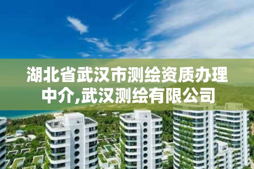 湖北省武汉市测绘资质办理中介,武汉测绘有限公司