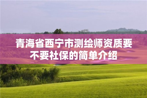 青海省西宁市测绘师资质要不要社保的简单介绍