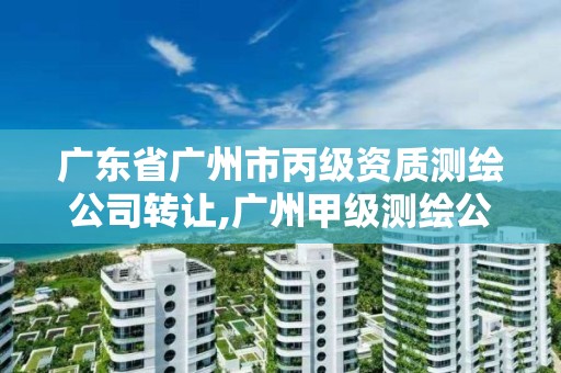 广东省广州市丙级资质测绘公司转让,广州甲级测绘公司