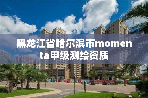 黑龙江省哈尔滨市momenta甲级测绘资质