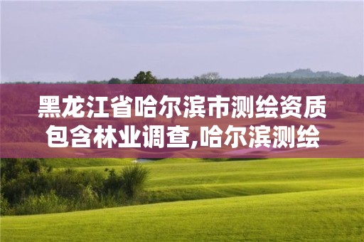 黑龙江省哈尔滨市测绘资质包含林业调查,哈尔滨测绘局在哪