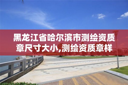 黑龙江省哈尔滨市测绘资质章尺寸大小,测绘资质章样式