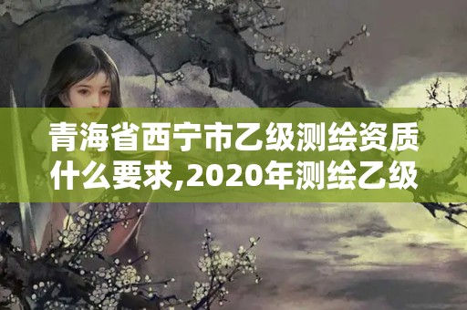 青海省西宁市乙级测绘资质什么要求,2020年测绘乙级资质申报条件