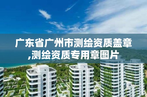 广东省广州市测绘资质盖章,测绘资质专用章图片