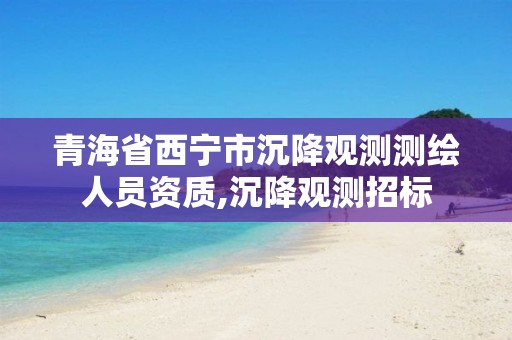 青海省西宁市沉降观测测绘人员资质,沉降观测招标