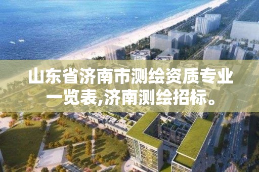 山东省济南市测绘资质专业一览表,济南测绘招标。