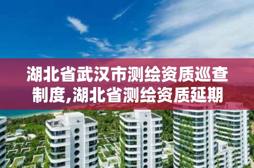 湖北省武汉市测绘资质巡查制度,湖北省测绘资质延期公告