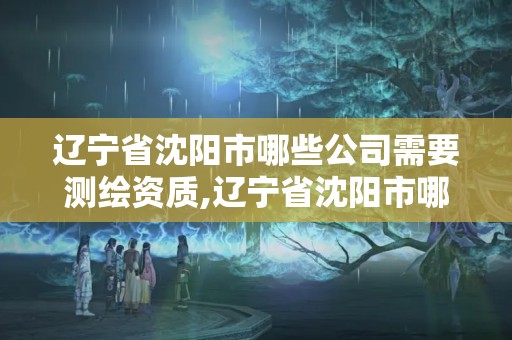 辽宁省沈阳市哪些公司需要测绘资质,辽宁省沈阳市哪些公司需要测绘资质认证