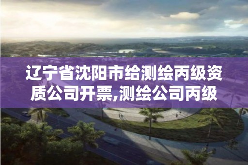 辽宁省沈阳市给测绘丙级资质公司开票,测绘公司丙级资质要求