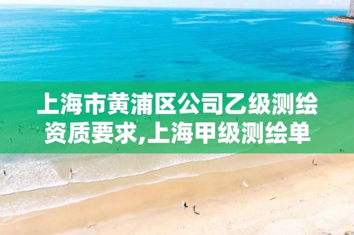 上海市黄浦区公司乙级测绘资质要求,上海甲级测绘单位