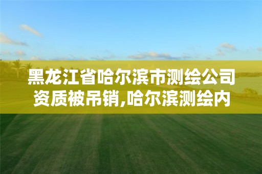 黑龙江省哈尔滨市测绘公司资质被吊销,哈尔滨测绘内业招聘信息