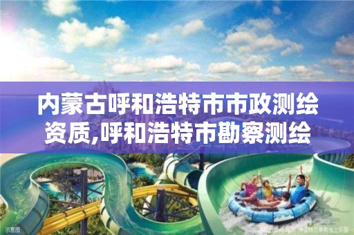 内蒙古呼和浩特市市政测绘资质,呼和浩特市勘察测绘研究院