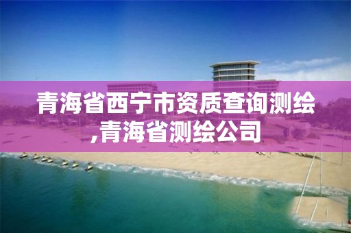 青海省西宁市资质查询测绘,青海省测绘公司