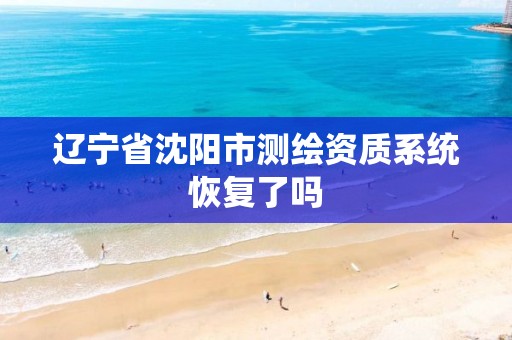 辽宁省沈阳市测绘资质系统恢复了吗