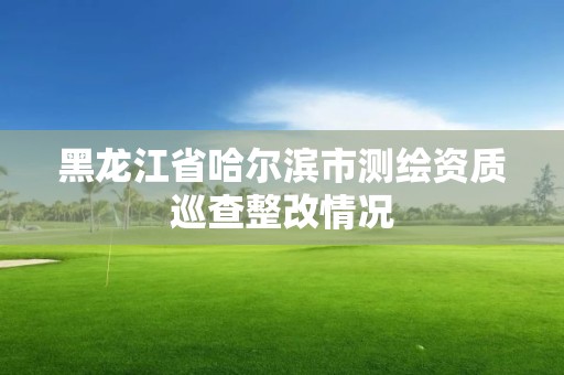 黑龙江省哈尔滨市测绘资质巡查整改情况