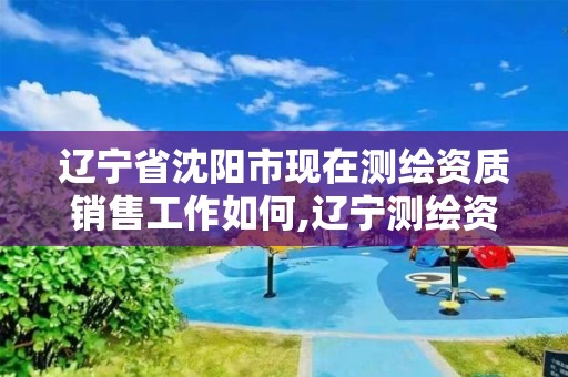 辽宁省沈阳市现在测绘资质销售工作如何,辽宁测绘资质单位