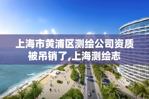 上海市黄浦区测绘公司资质被吊销了,上海测绘志