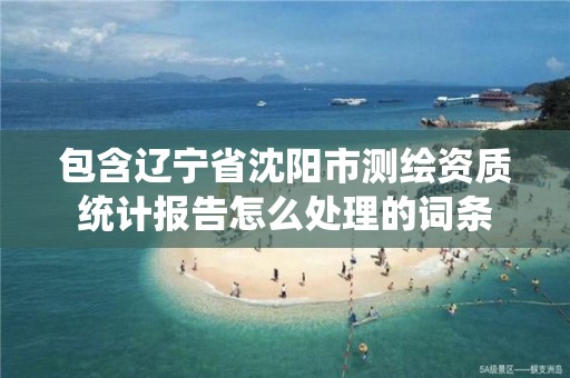 包含辽宁省沈阳市测绘资质统计报告怎么处理的词条