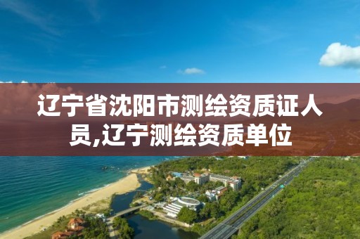 辽宁省沈阳市测绘资质证人员,辽宁测绘资质单位