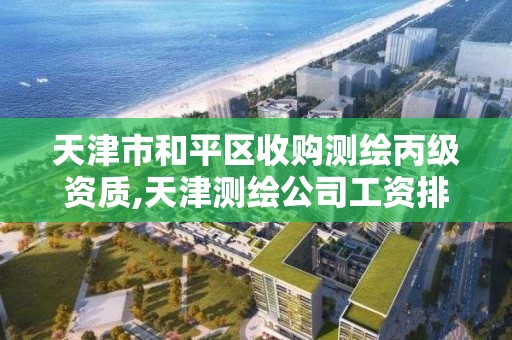 天津市和平区收购测绘丙级资质,天津测绘公司工资排行