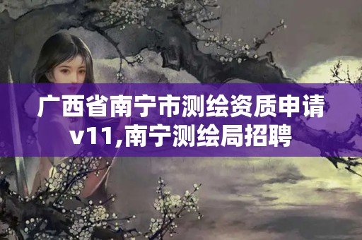 广西省南宁市测绘资质申请v11,南宁测绘局招聘