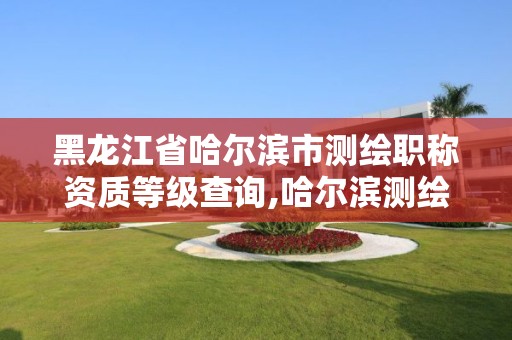 黑龙江省哈尔滨市测绘职称资质等级查询,哈尔滨测绘公司电话