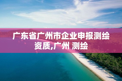 广东省广州市企业申报测绘资质,广州 测绘