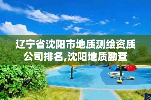 辽宁省沈阳市地质测绘资质公司排名,沈阳地质勘查