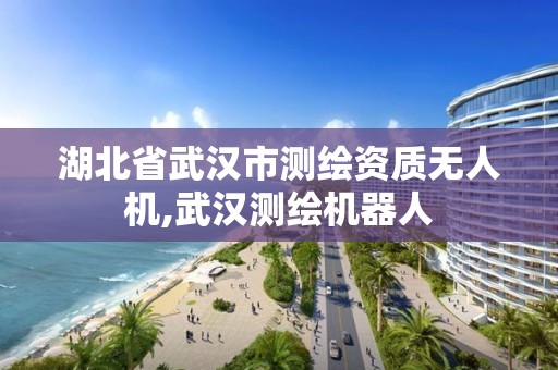 湖北省武汉市测绘资质无人机,武汉测绘机器人