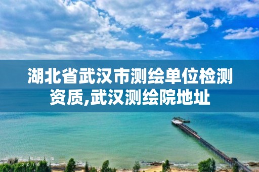 湖北省武汉市测绘单位检测资质,武汉测绘院地址