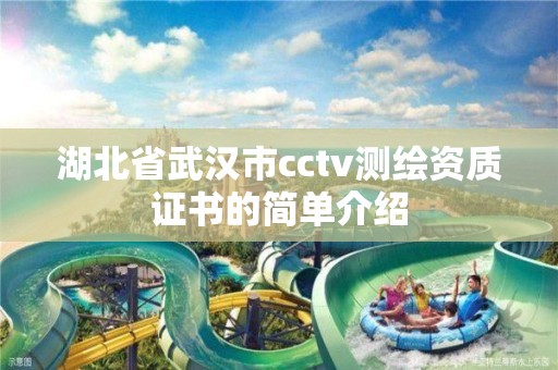 湖北省武汉市cctv测绘资质证书的简单介绍