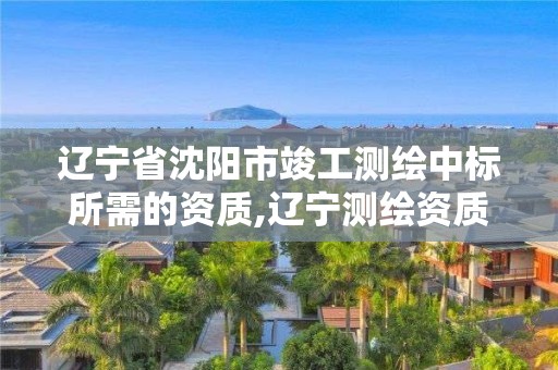 辽宁省沈阳市竣工测绘中标所需的资质,辽宁测绘资质单位