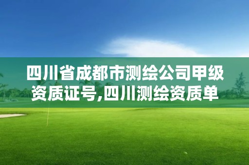 四川省成都市测绘公司甲级资质证号,四川测绘资质单位