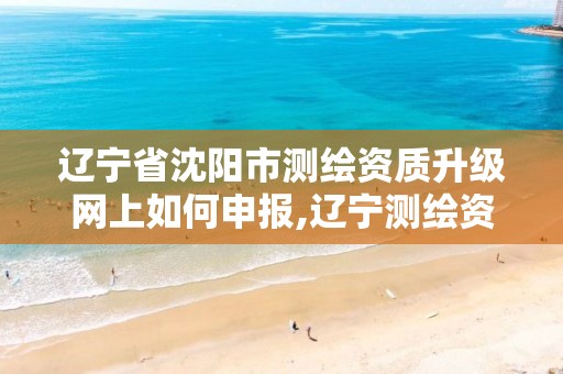 辽宁省沈阳市测绘资质升级网上如何申报,辽宁测绘资质查询