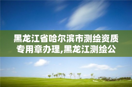 黑龙江省哈尔滨市测绘资质专用章办理,黑龙江测绘公司乙级资质