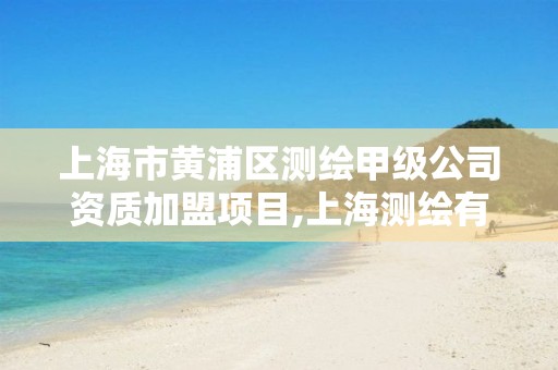 上海市黄浦区测绘甲级公司资质加盟项目,上海测绘有限公司