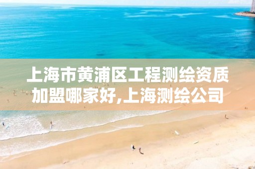 上海市黄浦区工程测绘资质加盟哪家好,上海测绘公司招聘