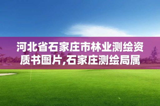 河北省石家庄市林业测绘资质书图片,石家庄测绘局属于哪个区