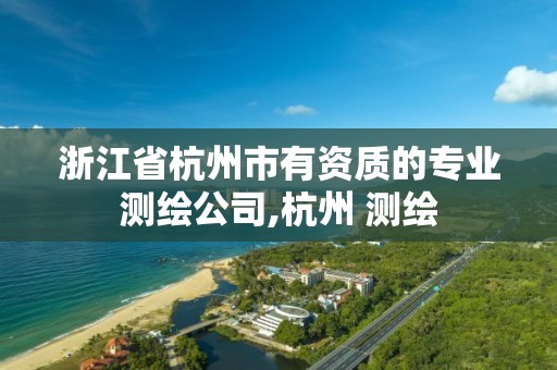 浙江省杭州市有资质的专业测绘公司,杭州 测绘