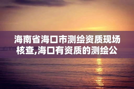 海南省海口市测绘资质现场核查,海口有资质的测绘公司