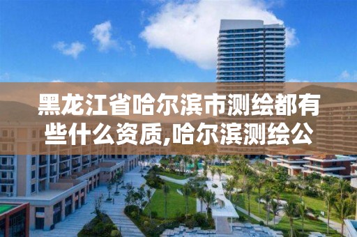 黑龙江省哈尔滨市测绘都有些什么资质,哈尔滨测绘公司哪家好