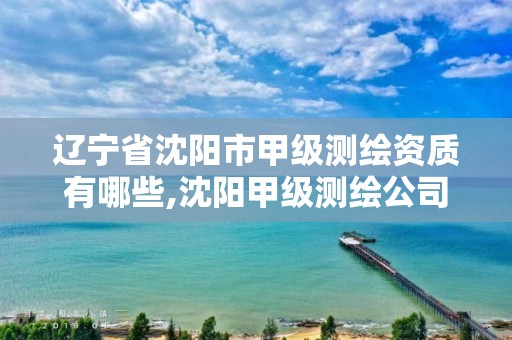 辽宁省沈阳市甲级测绘资质有哪些,沈阳甲级测绘公司