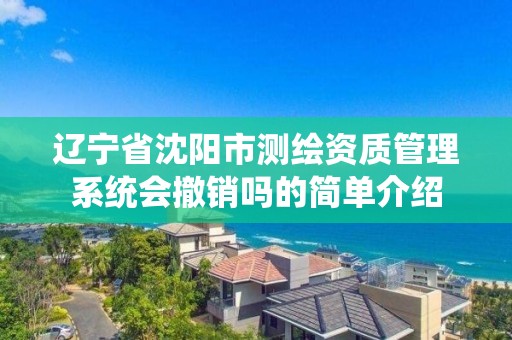 辽宁省沈阳市测绘资质管理系统会撤销吗的简单介绍